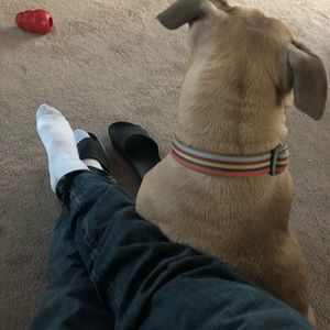 Meet your Posher, Rudy